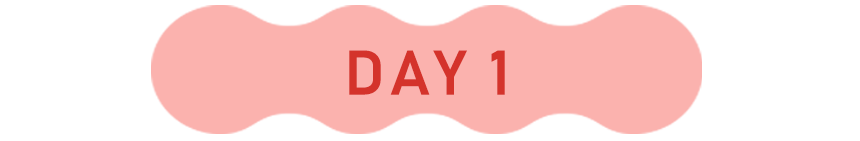 Day1