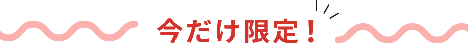 今だけ限定！